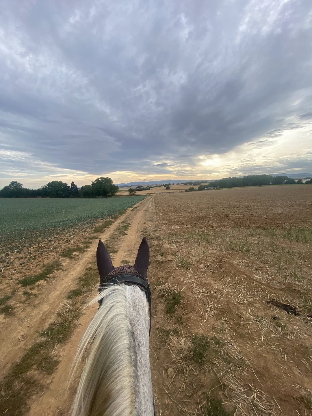 Chemin de terre entre les champs, vu depuis la selle
